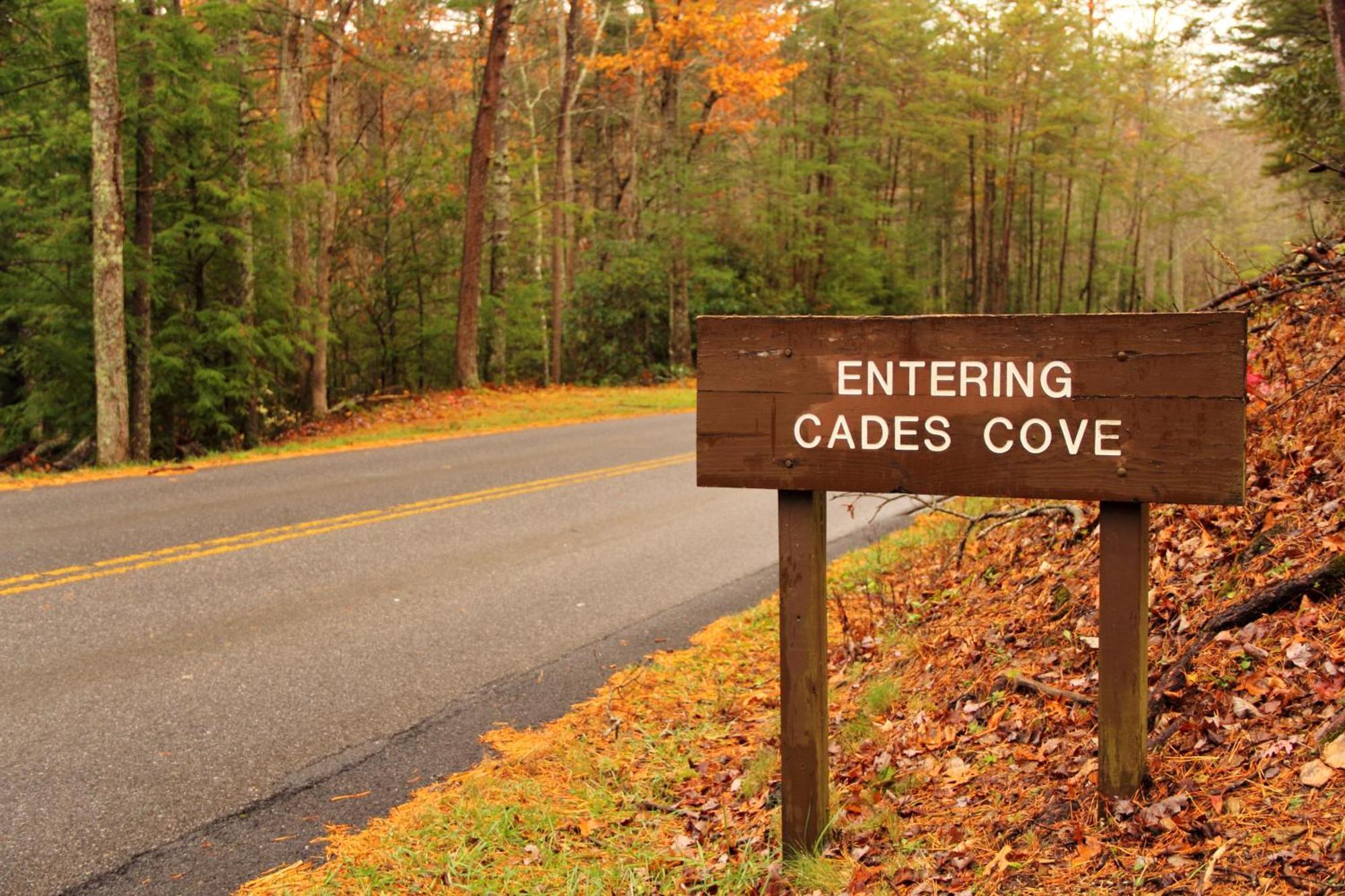 Apple Valley Hideaway, 1089 Of Free Attraction Tickets For Each Paid Day, Dollywood And More! Pigeon Forge Exterior foto